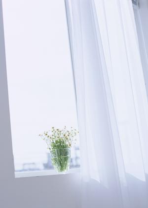 富山で造園の依頼先を探しているなら